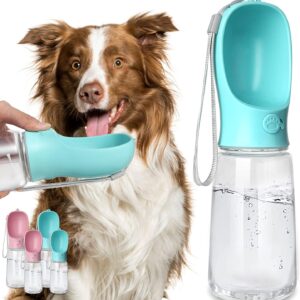 Kalimdor Dog Water Bottle