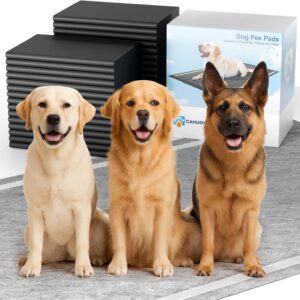 40PCS Charcoal Pee Pads